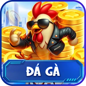 Đá gà Go8